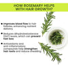 Herbal Rosemary Spray - Thicker Hair, Less Fall, Faster Growth !